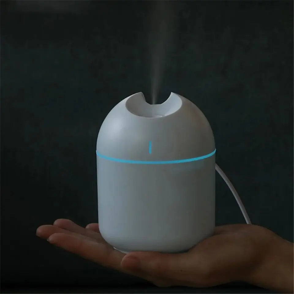 Portable Mini Air Humidifier USB Desktop Humidifier for Car Bedroom